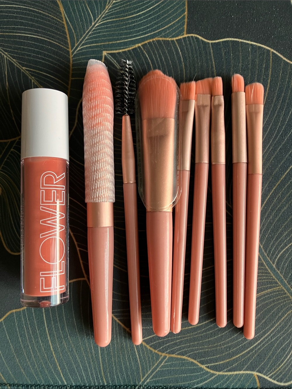 Lip Gloss and brush set